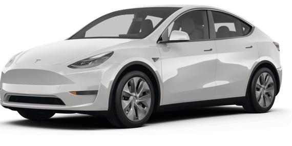 TESLA MODEL Y 2024 7SAYGDEE6RF085809 image